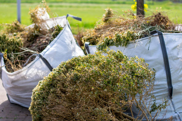 Professional Junk Removal Services in Southwood Acres, CT